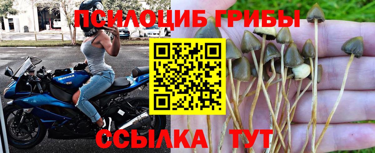 Похвистнево  Галлюциногенные грибы MAGIC MUSHROOMS  Вход с VPN 